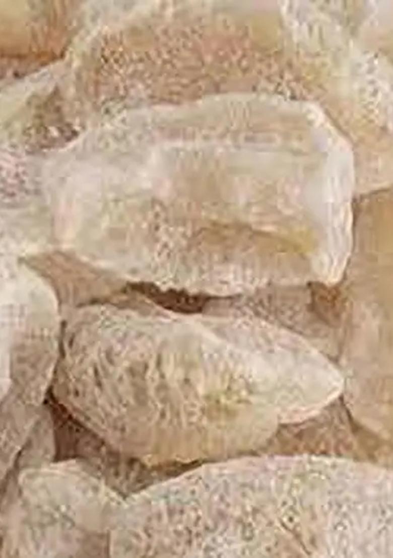 Prizex Organic And Natural Sweet Amla Candy (Indian Gooseberry) 250 Gm (250 G) - Indya