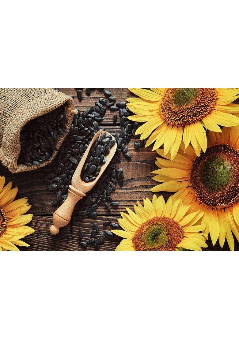 Nutrifuture Sunflower Seeds Seeds For Eating Diet Food Healthy Snack Raw Seeds Weight Management 250 Gram - Indya