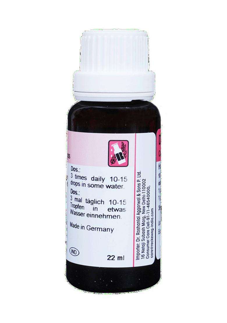Dr. Reckeweg R31 Increases Appetite And Blood Supply Drop - Indya