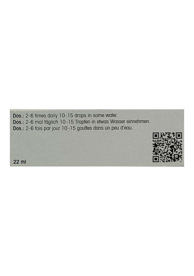 Dr. Reckeweg R43 Bronchial Drop - Indya