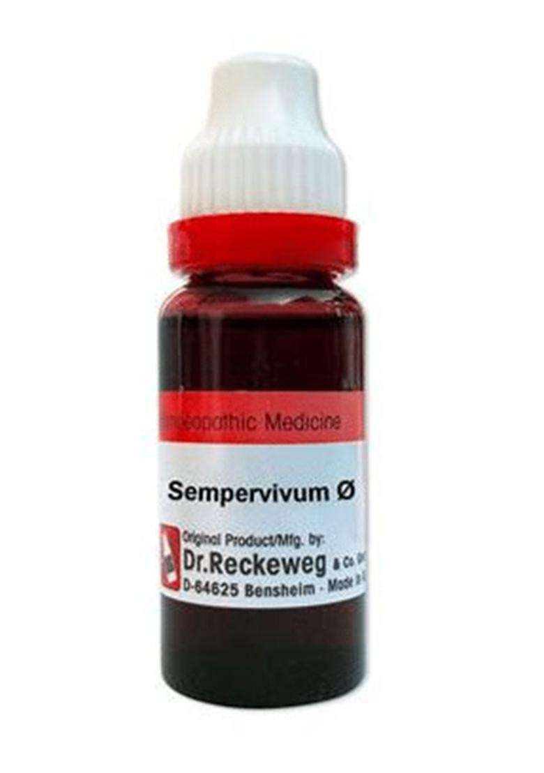 Dr. Reckeweg Sempervivum Mother Tincture - Indya