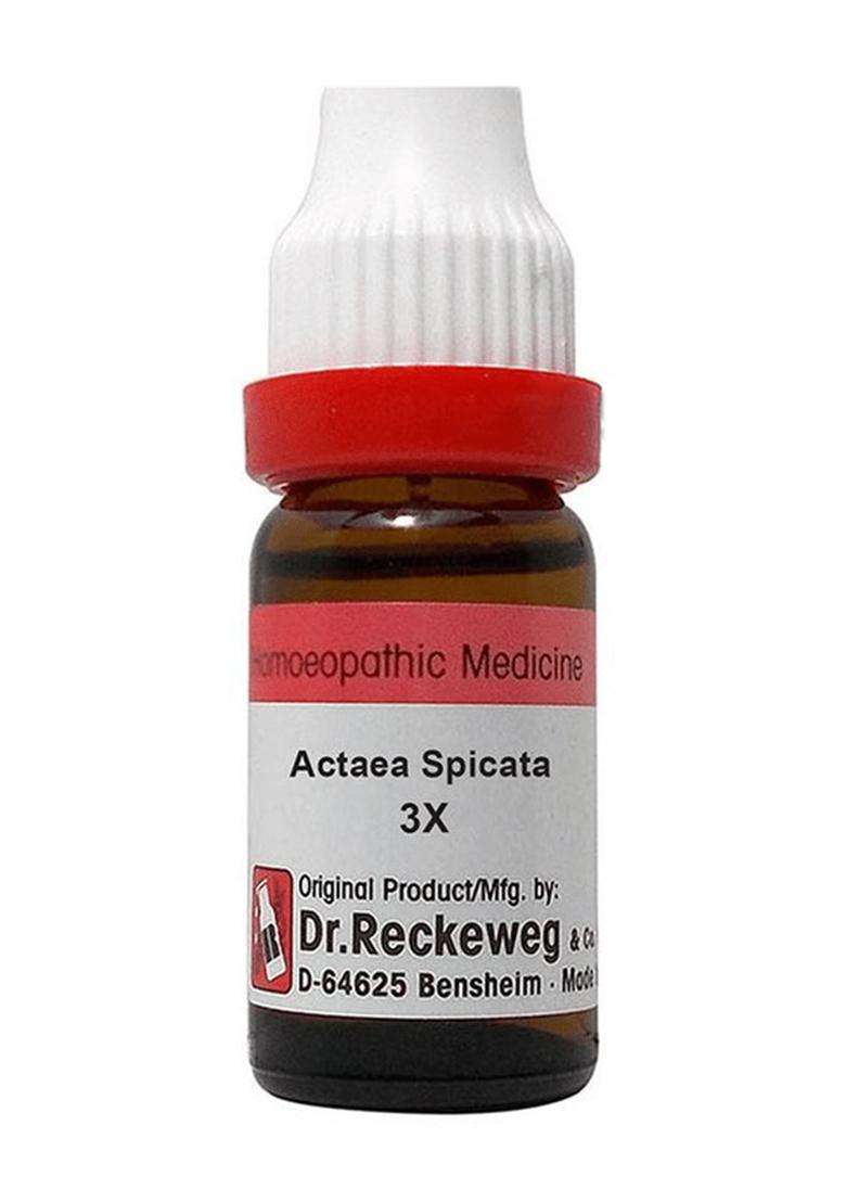 Dr. Reckeweg Actaea Spicata Dilution - Indya