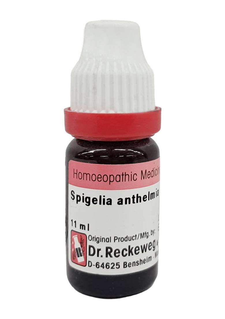 Dr. Reckeweg Spigelia Anthelmia Dilution - Indya