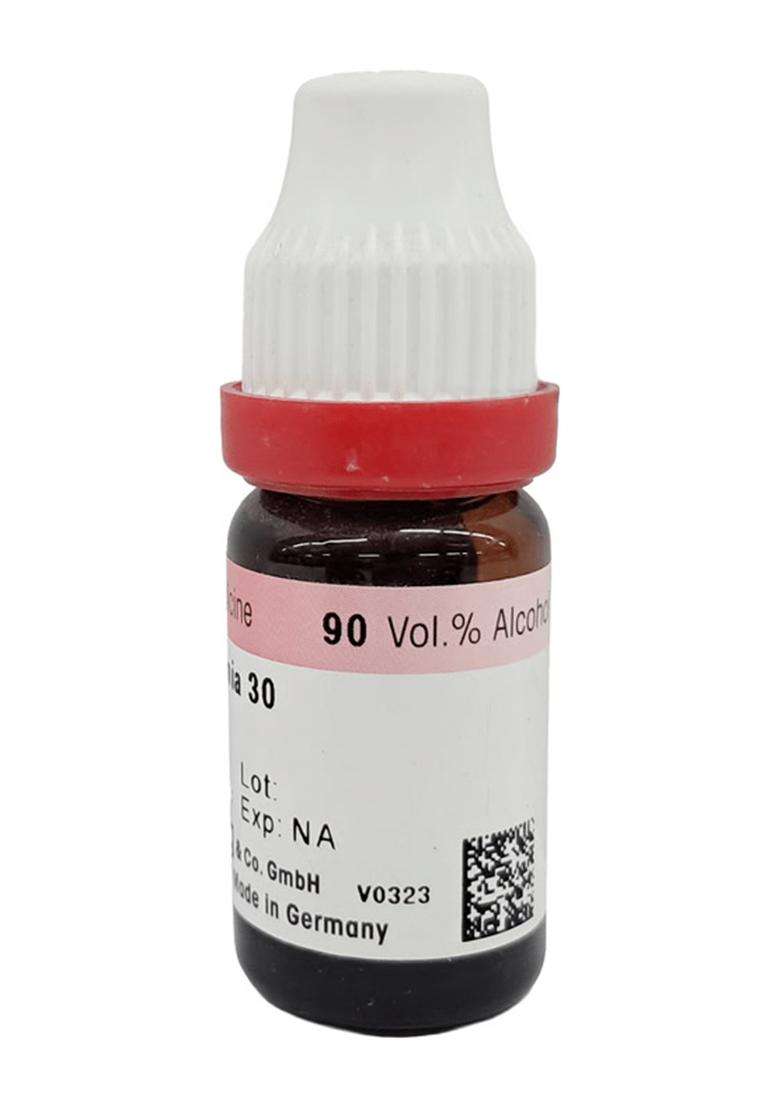 Dr. Reckeweg Spigelia Anthelmia Dilution - Indya