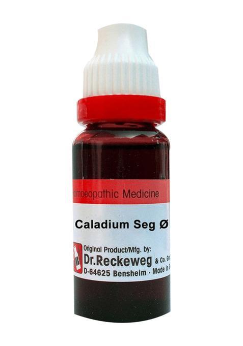 Dr. Reckeweg Caladium Seg Mother Tincture Q