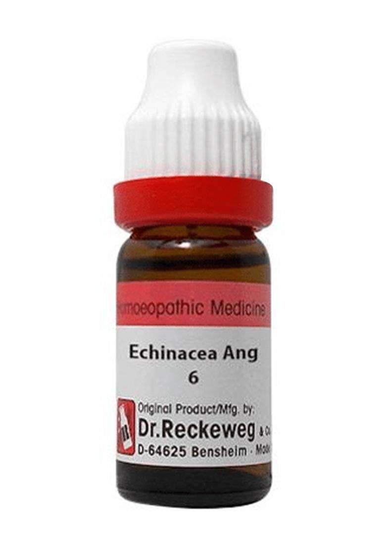 Dr. Reckeweg Echinacea Ang Dilution - Indya