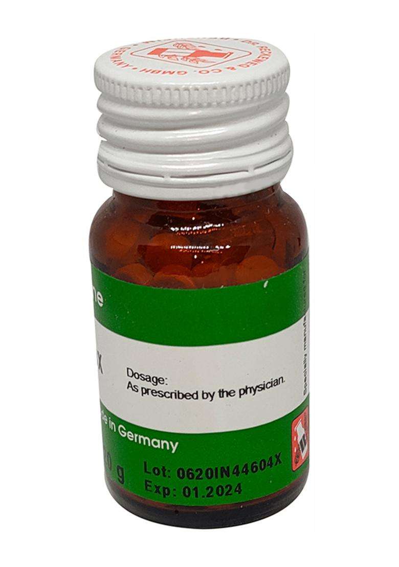 Dr. Reckeweg Ferrum Muriaticum Tablet - Indya