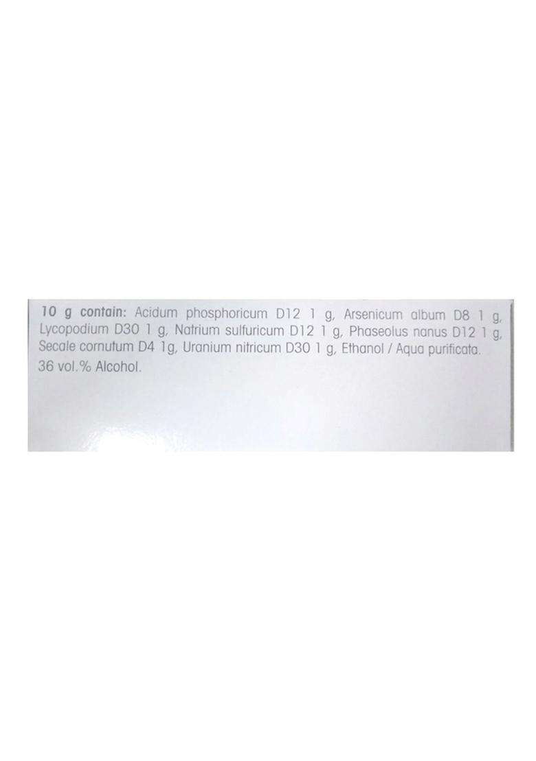 Dr. Reckeweg R40 Diabetes Drop Homeopathic Medicine - Indya