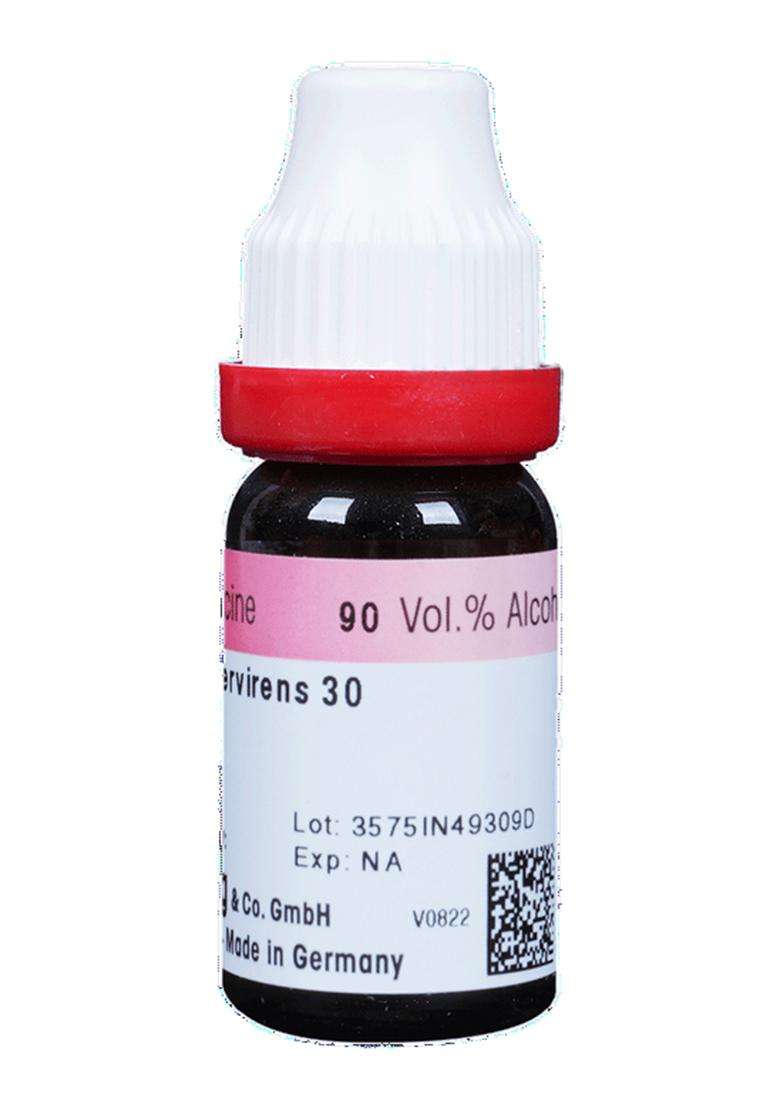 Dr. Reckeweg Gelsemium Sempervirens Dilution - Indya