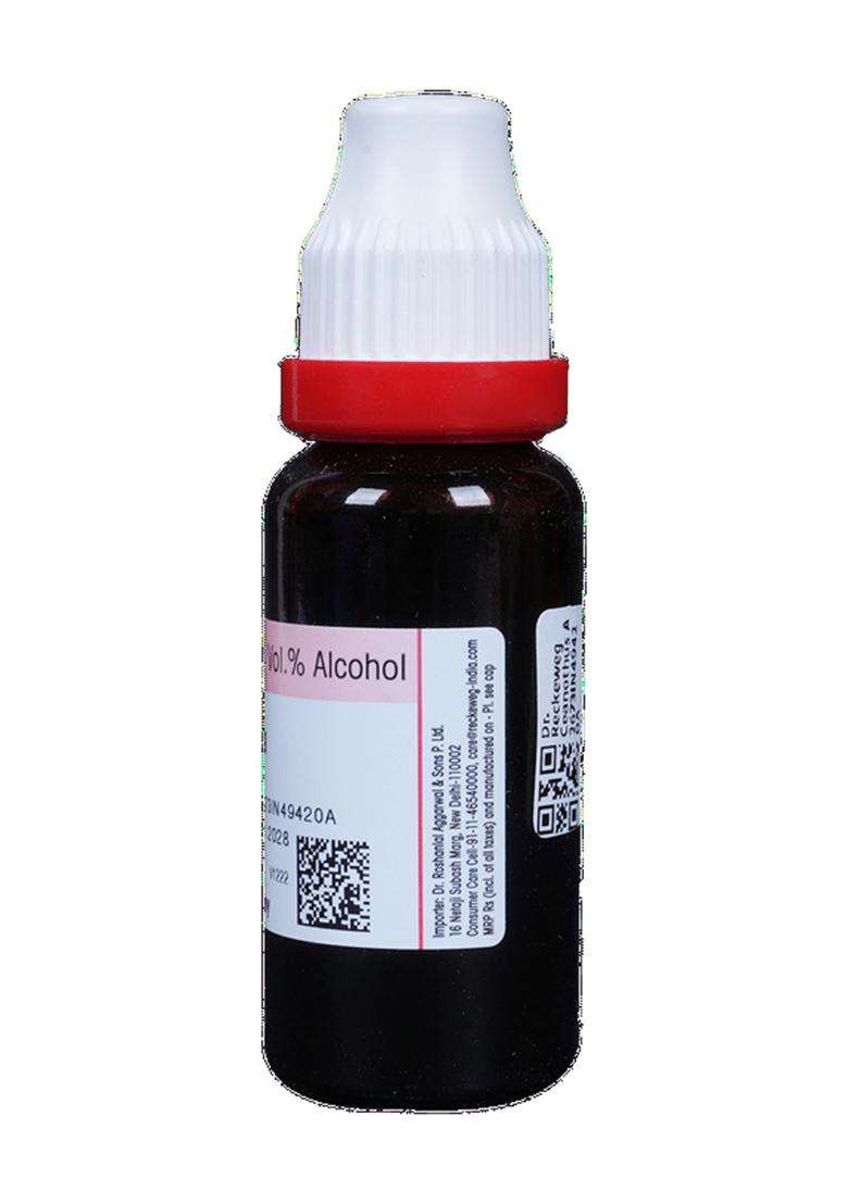 Dr. Reckeweg Ceanothus A Mother Tincture - Indya