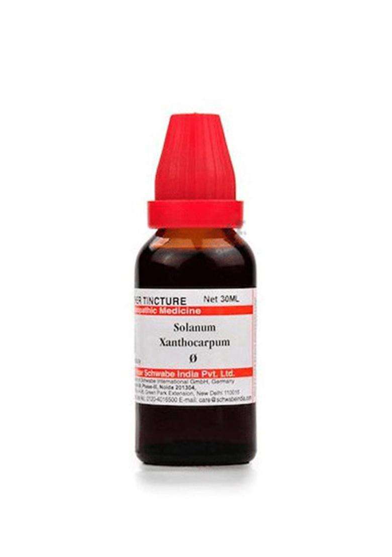 Dr Willmar Schwabe India Solanum Xanthocarpum Mother Tincture - Indya