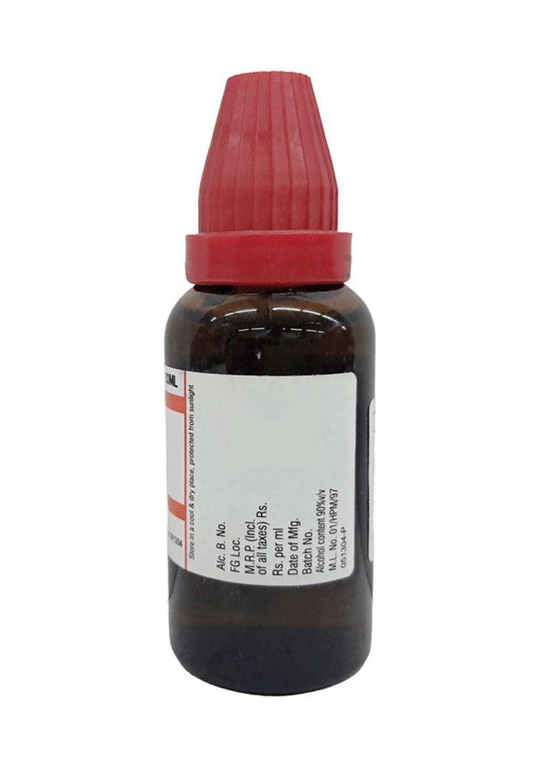 Dr Willmar Schwabe India Arnica Montana Dilution - Indya