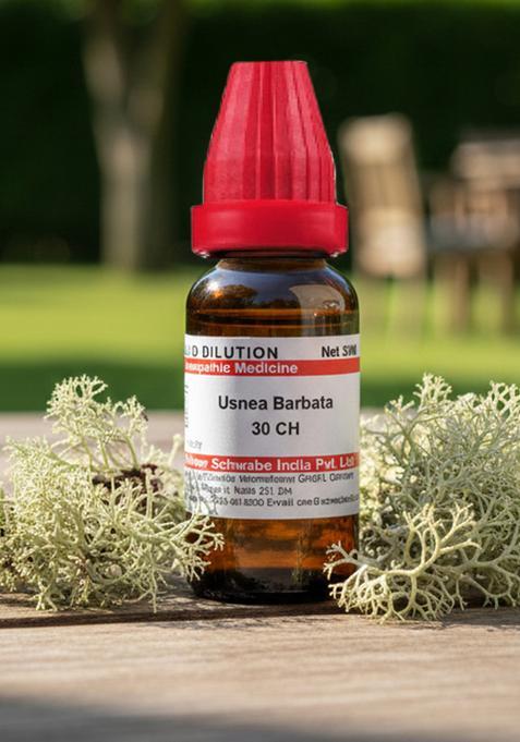 Dr Willmar Schwabe India Usnea Barbata Dilution 30 CH