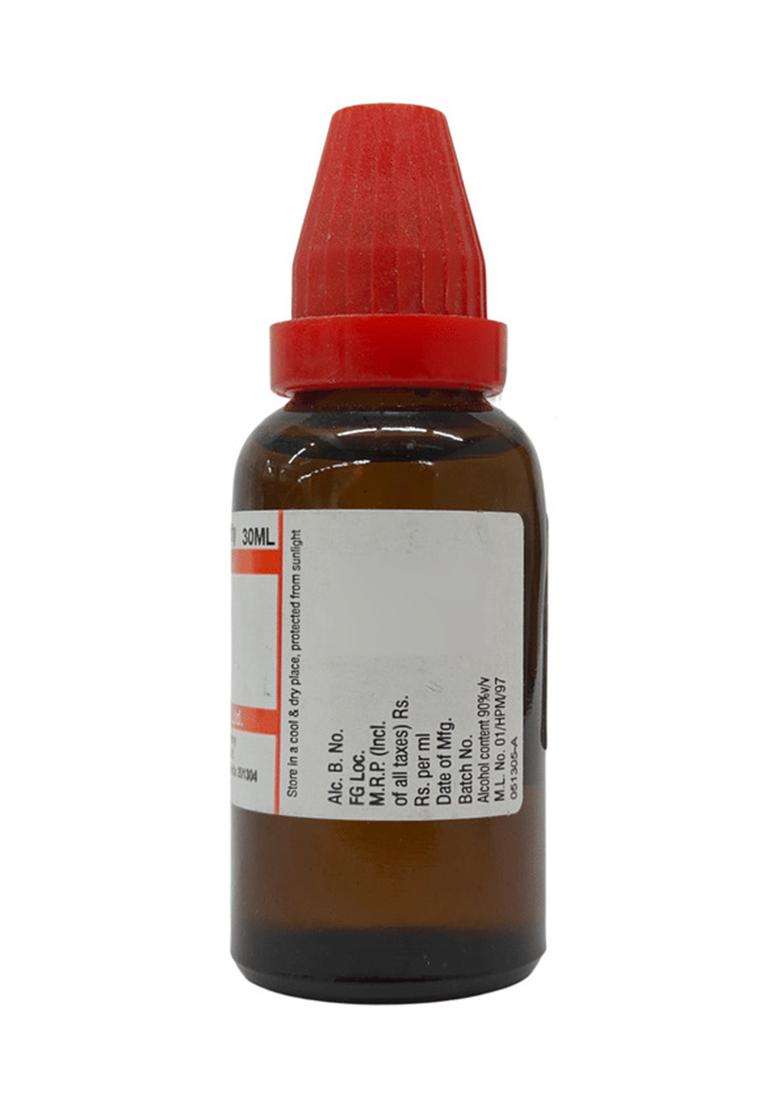 Dr Willmar Schwabe India Bryonia Alba Dilution - Indya
