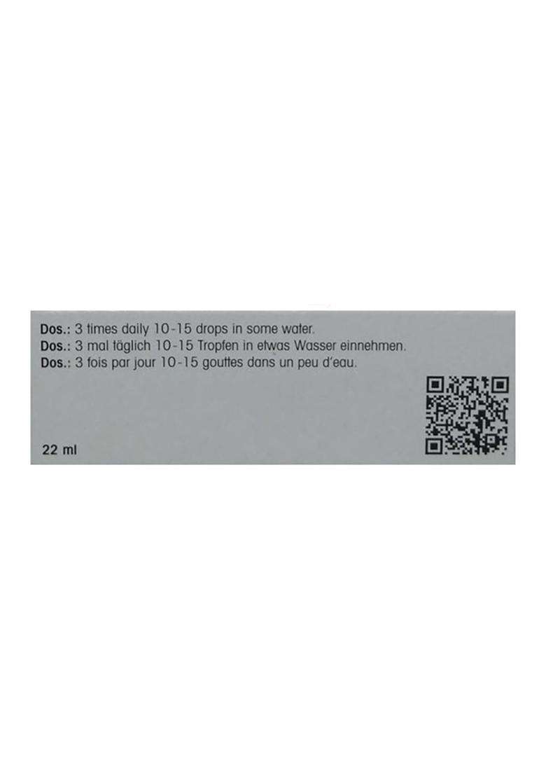 Dr. Reckeweg R25 Prostatitis Drop - Indya