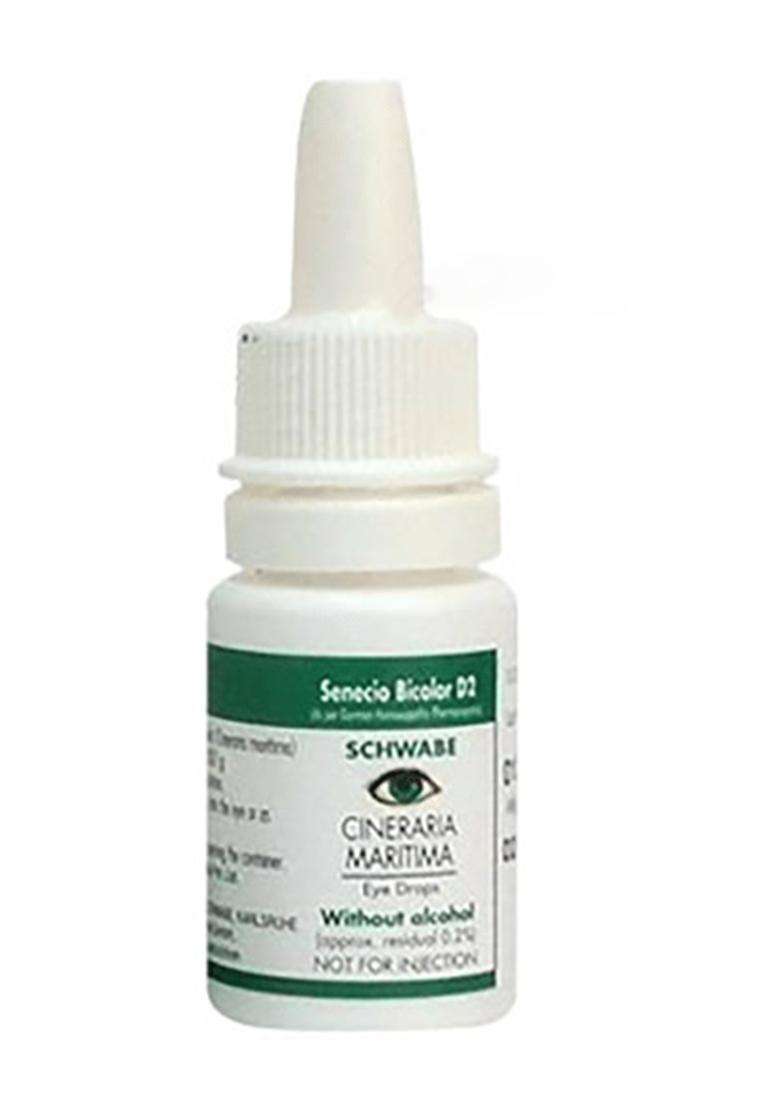 Dr. Reckeweg Physostigma Venenosum Dilution (11ml) & Dr Willmar Schwabe Germany Cineraria Maritima Without Alcohol Eye Drop (10ml) - Indya