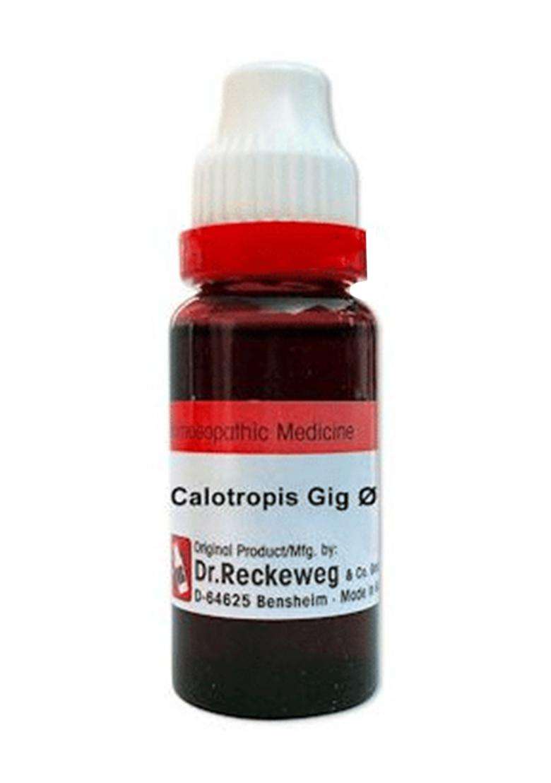 Dr. Reckeweg Calotropis Gig Mother Tincture - Indya