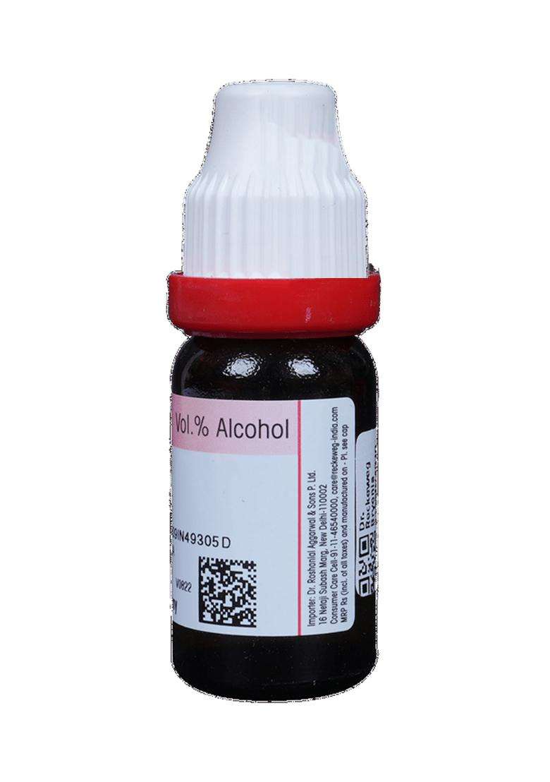 Dr. Reckeweg Bryonia Alba Dilution - Indya