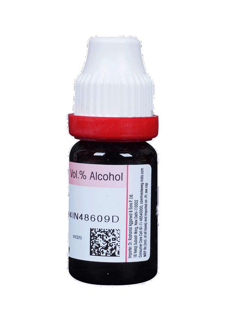 Dr. Reckeweg Caladium Seg Dilution - Indya