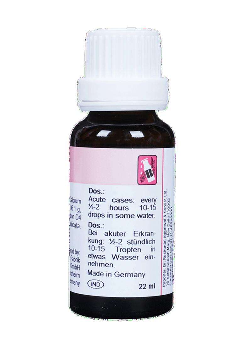 Dr. Reckeweg R11 Rheumatism Drop | For Pain Relief | Effective for Sprains and Strains| Bone, Joint & Muscle Care - Indya