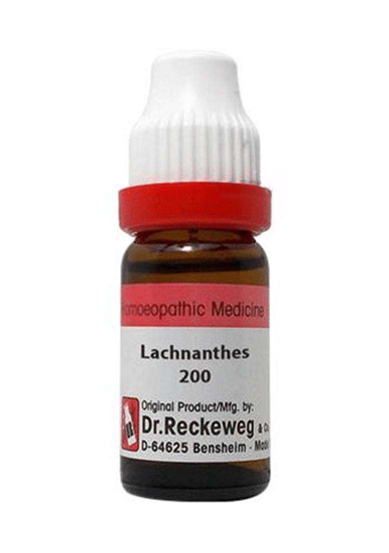 Dr. Reckeweg Lachnanthes Dilution - Indya