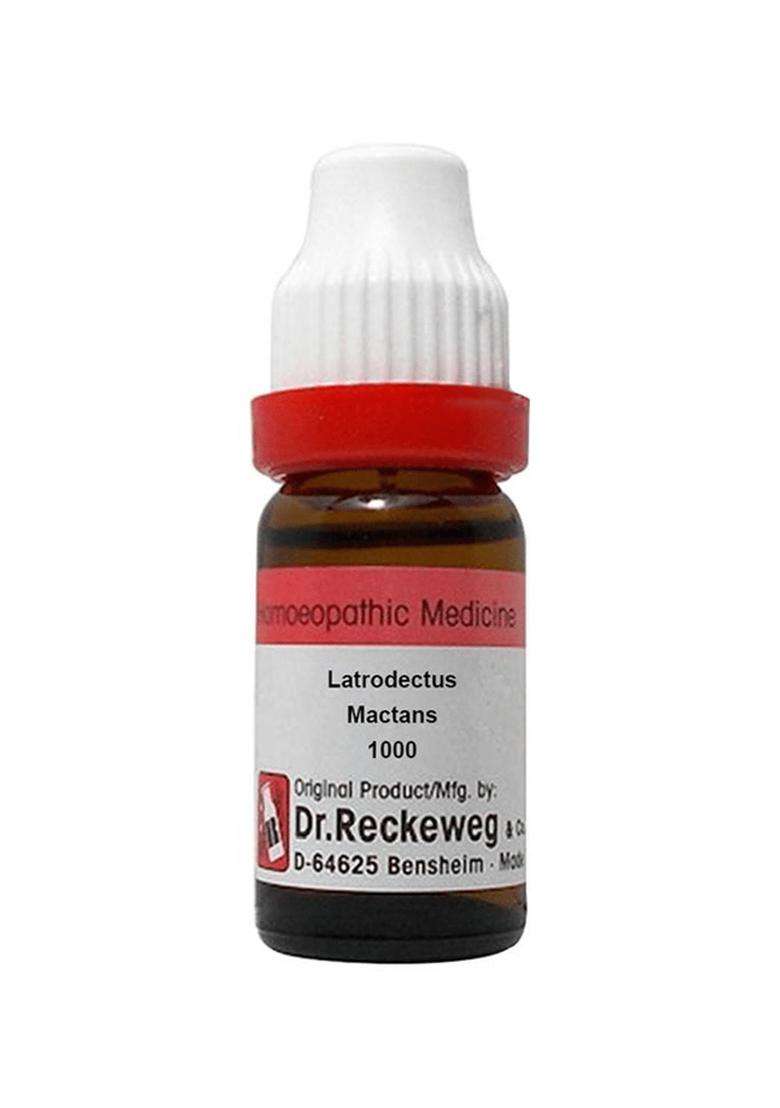 Dr. Reckeweg Latrodectus Mactans Dilution - Indya