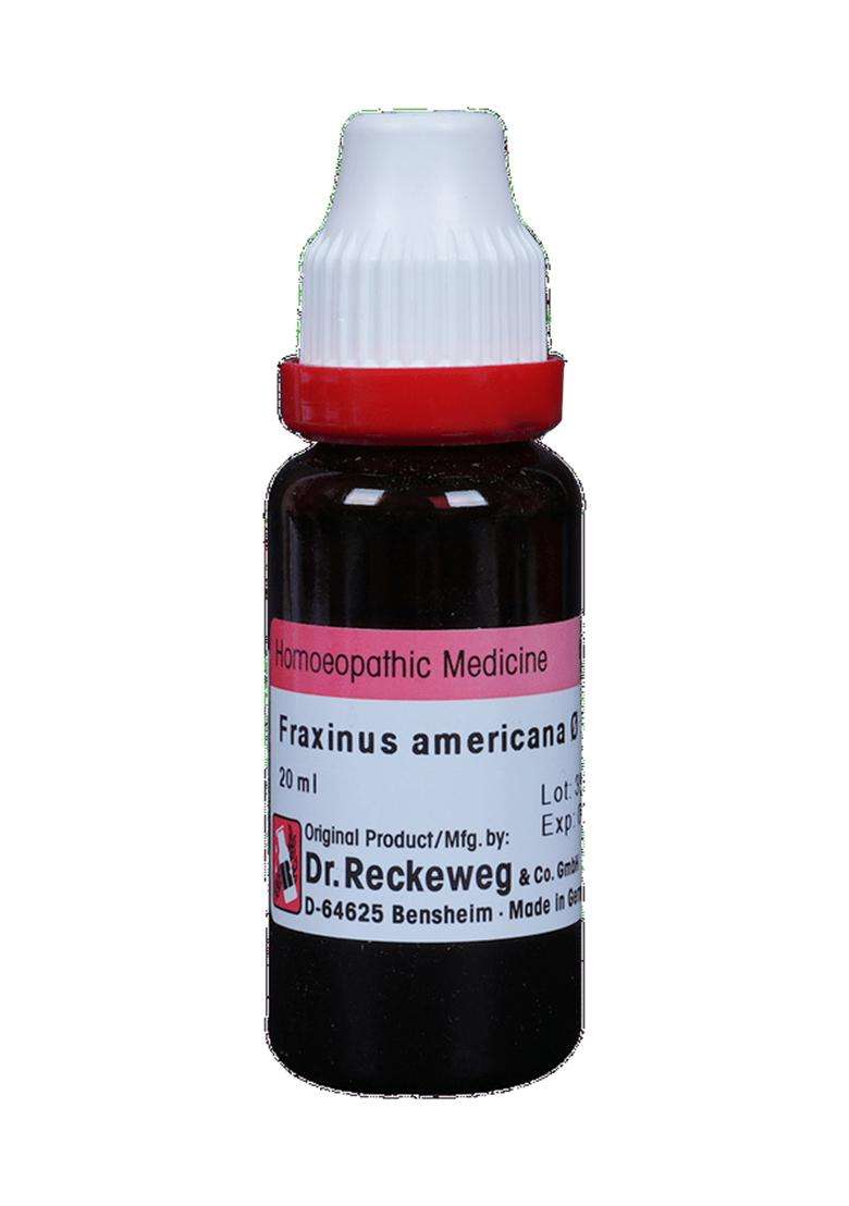Dr. Reckeweg Fraxinus Amer Mother Tincture - Indya
