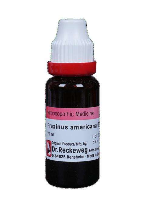 Dr. Reckeweg Fraxinus Amer Mother Tincture
