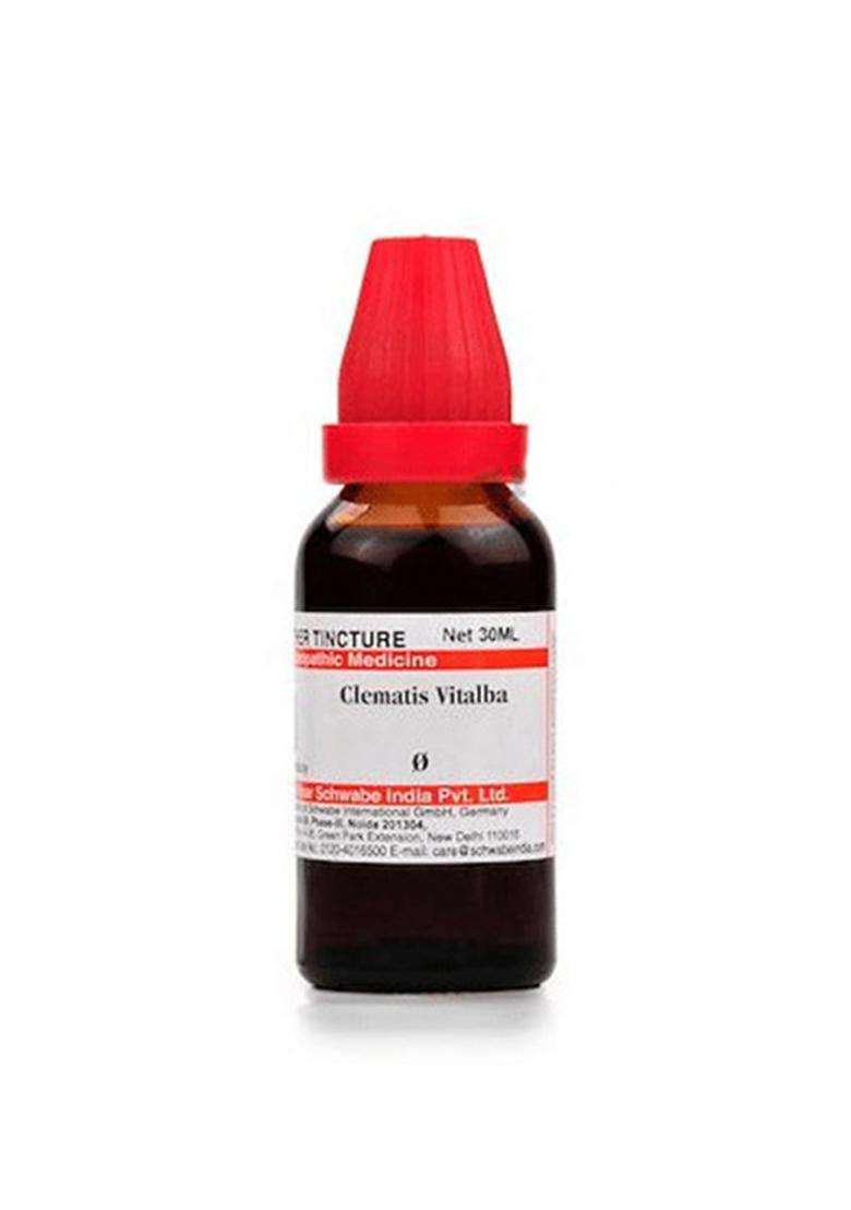Dr Willmar Schwabe India Clematis Vitalba Mother Tincture - Indya