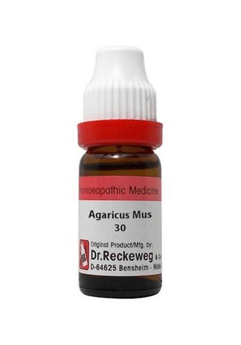 Dr. Reckeweg Agaticus Mus Dilution (11 Ml)