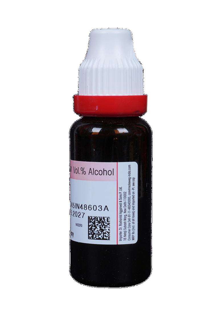 Dr. Reckeweg Hamamelis Virg Mother Tincture (20 Ml) - Indya