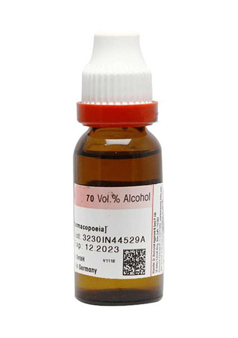 Dr. Reckeweg Damiana Mother Tincture (20 Ml) - Indya