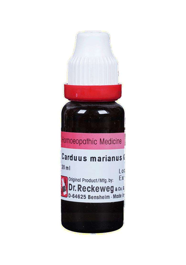 Dr. Reckeweg Carduus Mar Mother Tincture (20 Ml) - Indya
