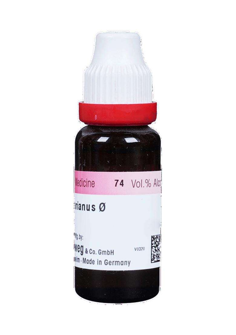 Dr. Reckeweg Carduus Mar Mother Tincture (20 Ml) - Indya