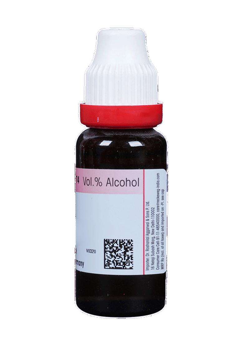 Dr. Reckeweg Carduus Mar Mother Tincture (20 Ml) - Indya