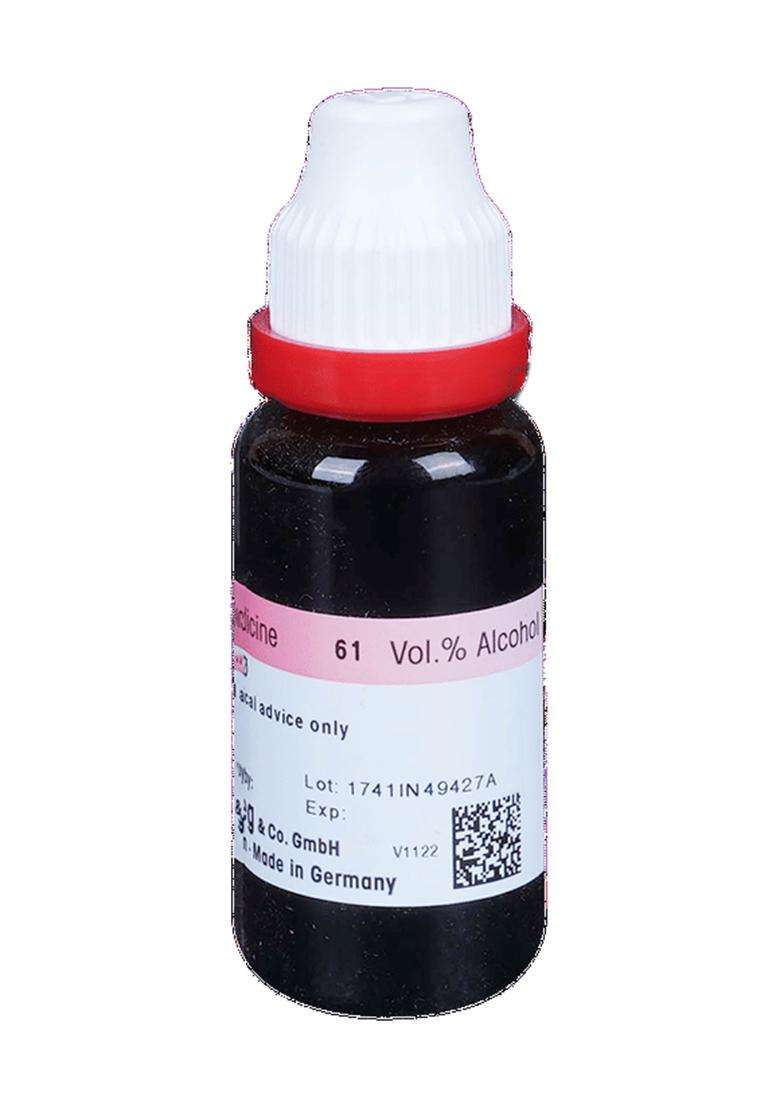 Dr. Reckeweg Arnica Mont Mother Tincture (20 Ml) - Indya