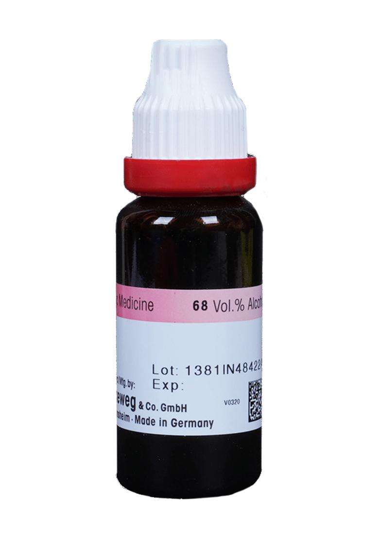 Dr. Reckeweg Alfalfa Mother Tincture (20 Ml) - Indya