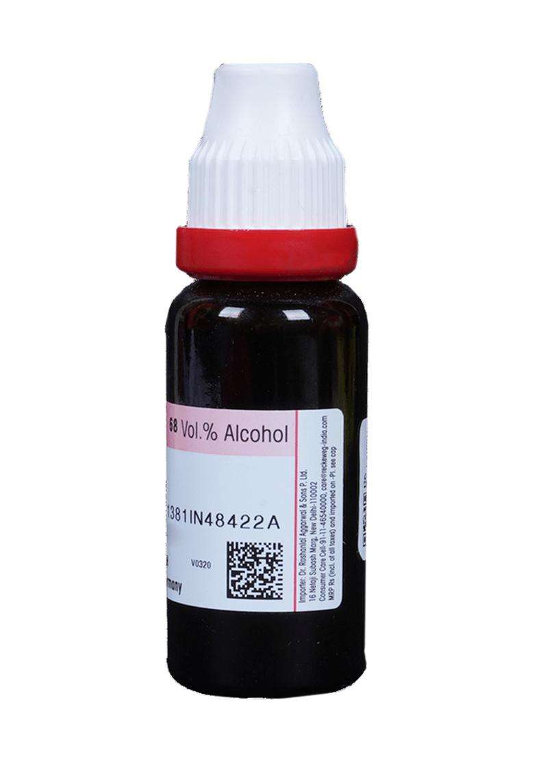 Dr. Reckeweg Alfalfa Mother Tincture (20 Ml) - Indya