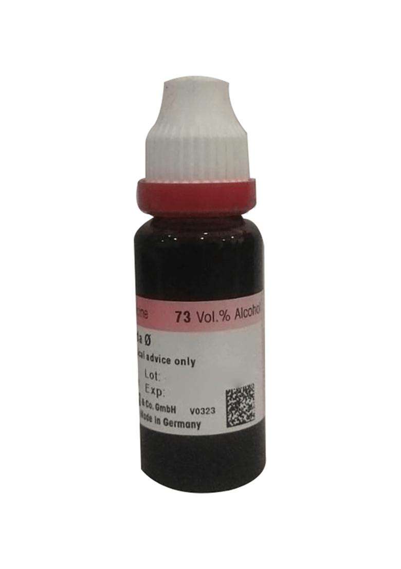 Dr. Reckeweg Justicia Adhatoda Mother Tincture (20 Ml) - Indya