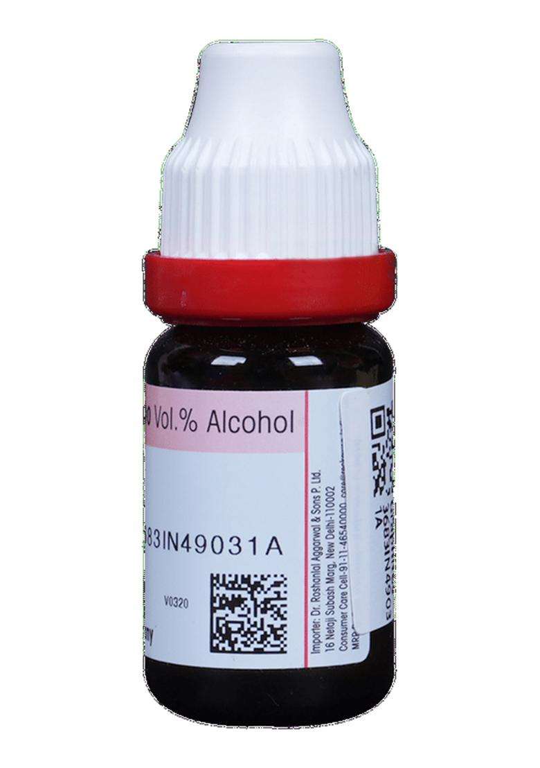 Dr. Reckeweg Graphites Dilution (11 Ml) - Indya