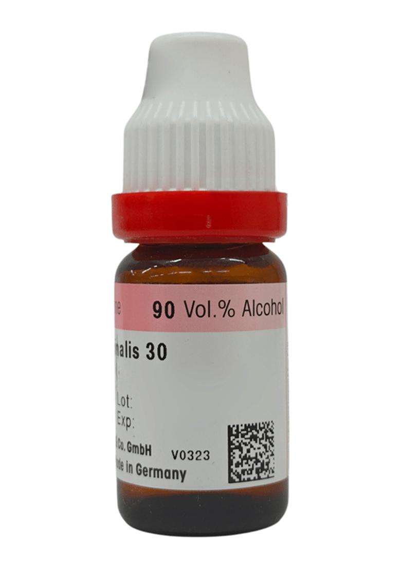 Dr. Reckeweg Rosmarinus Off Dilution (11 Ml) - Indya