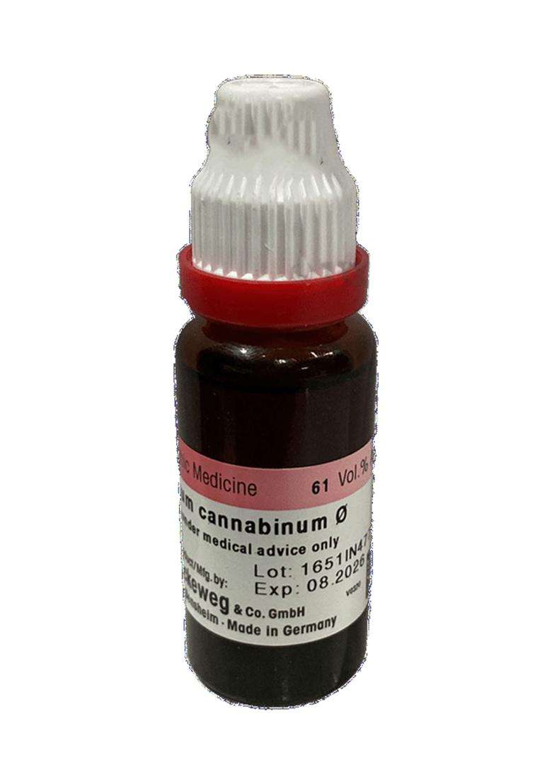 Dr Reckeweg Apocynum Can Mother Tincture - Indya