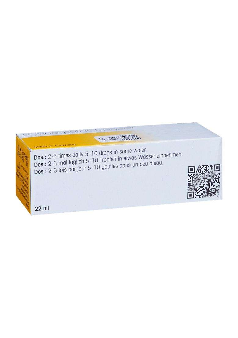 Dr Reckeweg R36 Nerves Disease Drop - Indya