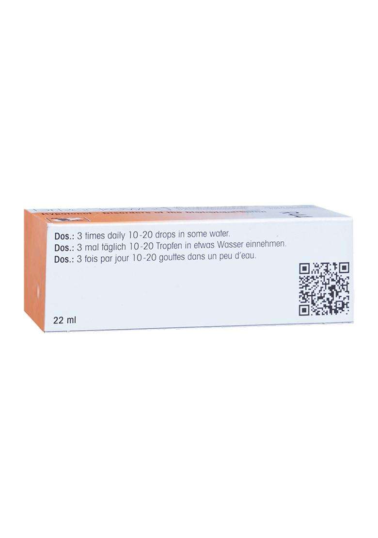 Dr Reckeweg R44 Disorders Of The Blood Circulation Drop - Indya