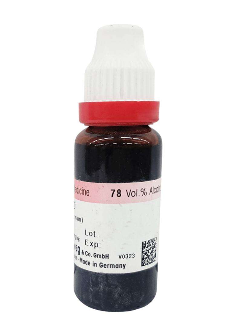 Dr Reckeweg Yerba Santa Mother Tincture - Indya