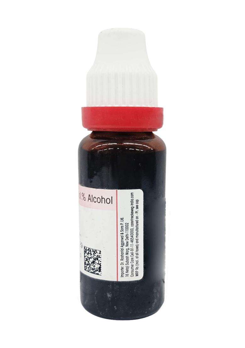 Dr Reckeweg Yerba Santa Mother Tincture - Indya