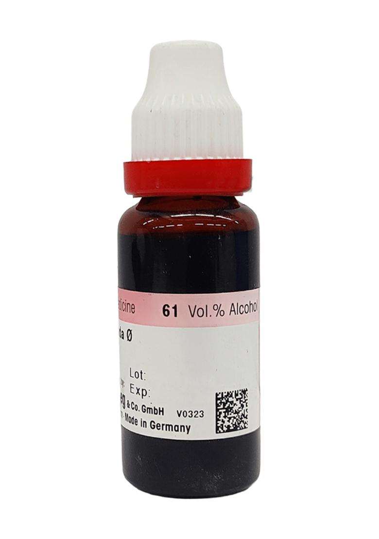 Dr Reckeweg Cascara Sag Mother Tincture - Indya