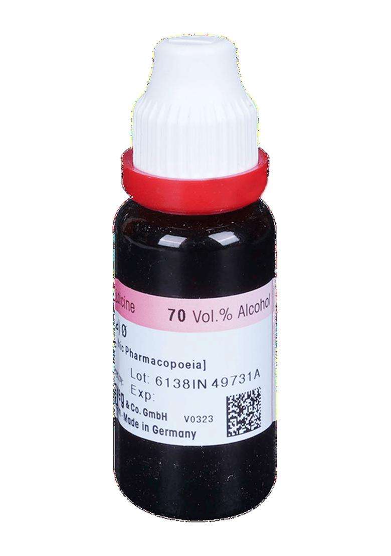 Dr Reckeweg Sterculia Mother Tincture - Indya