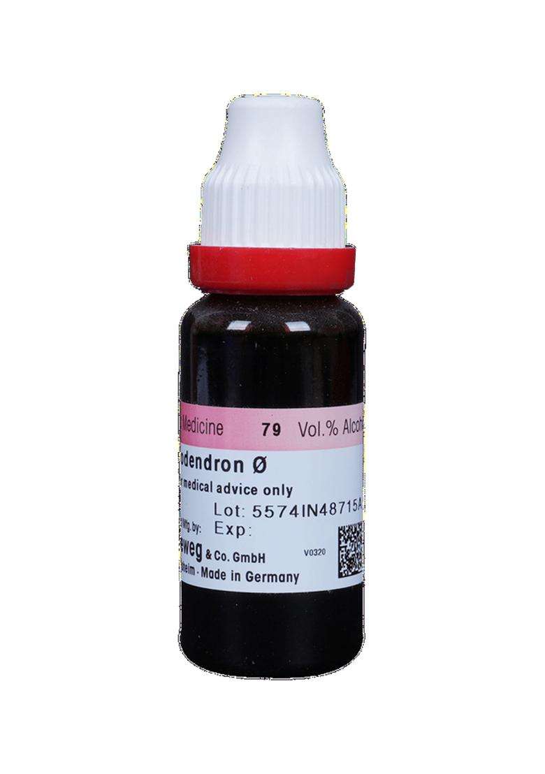 Dr Reckeweg Rhus Tox Mother Tincture - Indya