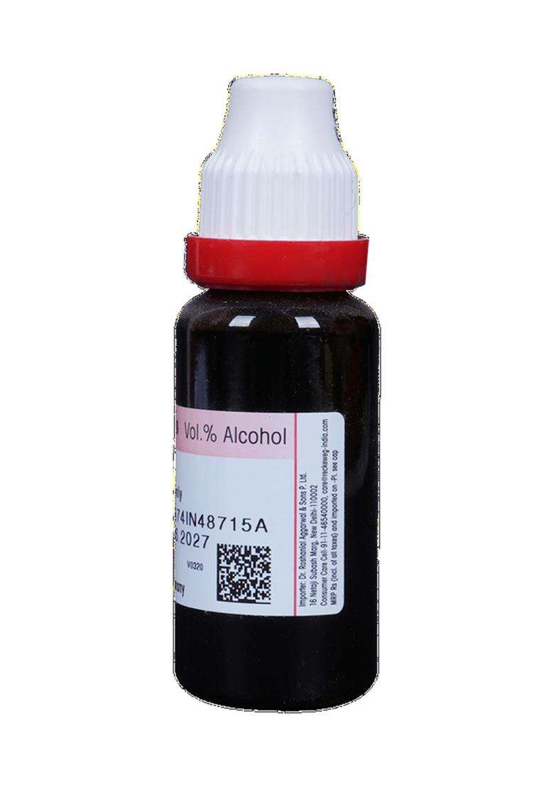 Dr Reckeweg Rhus Tox Mother Tincture - Indya